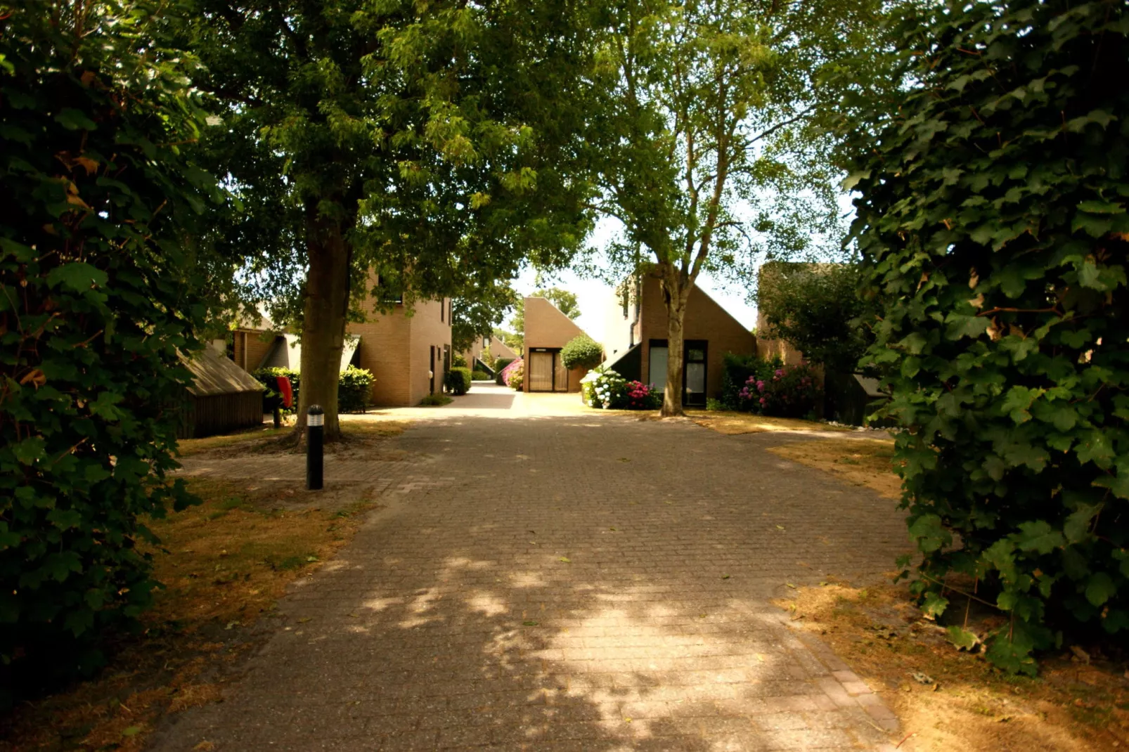 De Haaijmanweg 5-Areas summer 1km