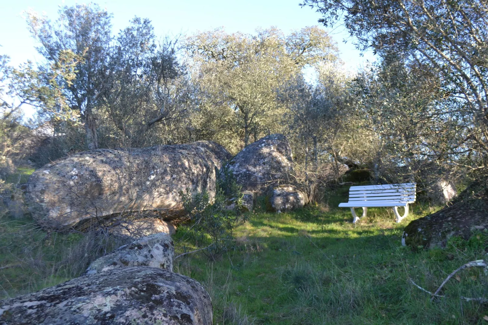Quinta do Couto-Areas summer 1km