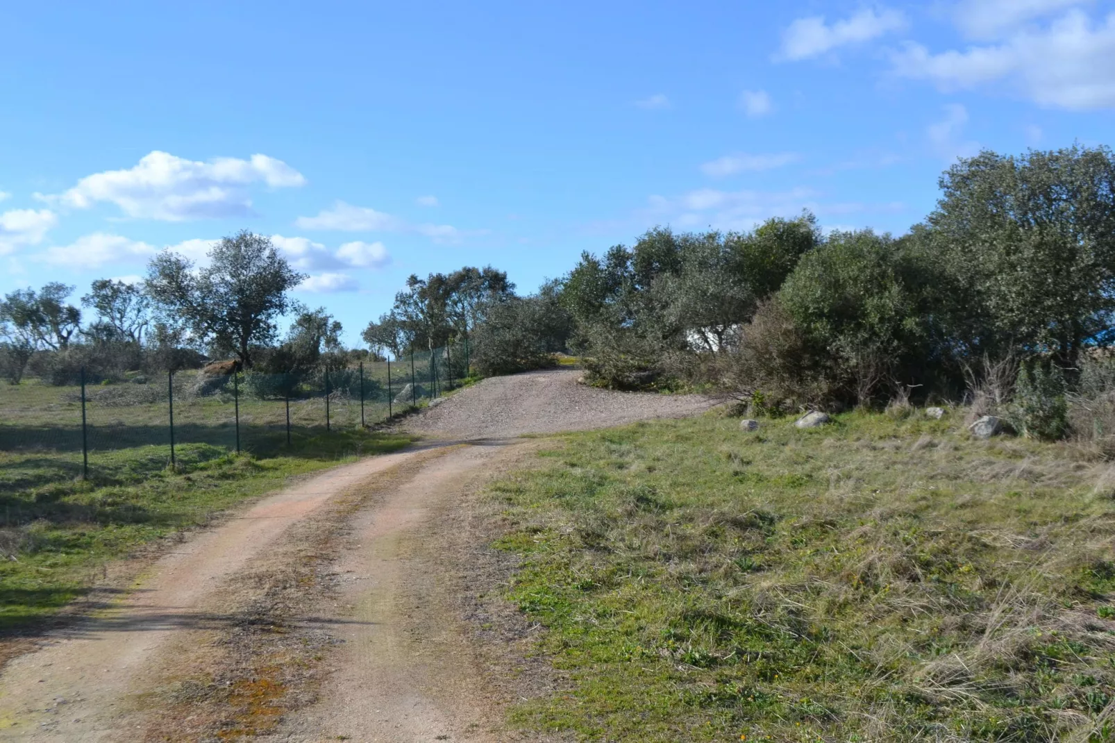 Quinta do Couto-Areas summer 1km