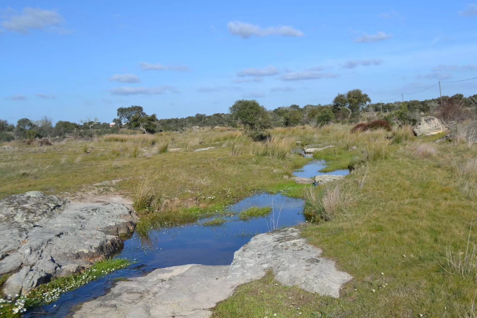 Quinta do Couto-Areas summer 5km