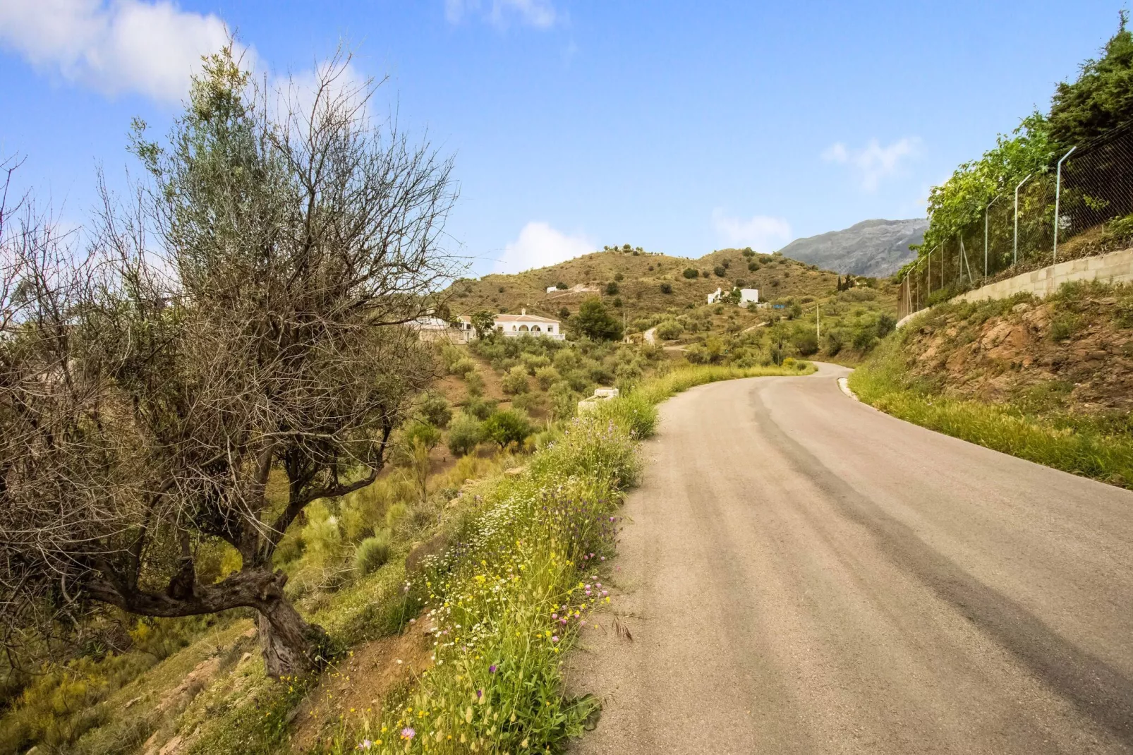 La Loma-Areas summer 1km