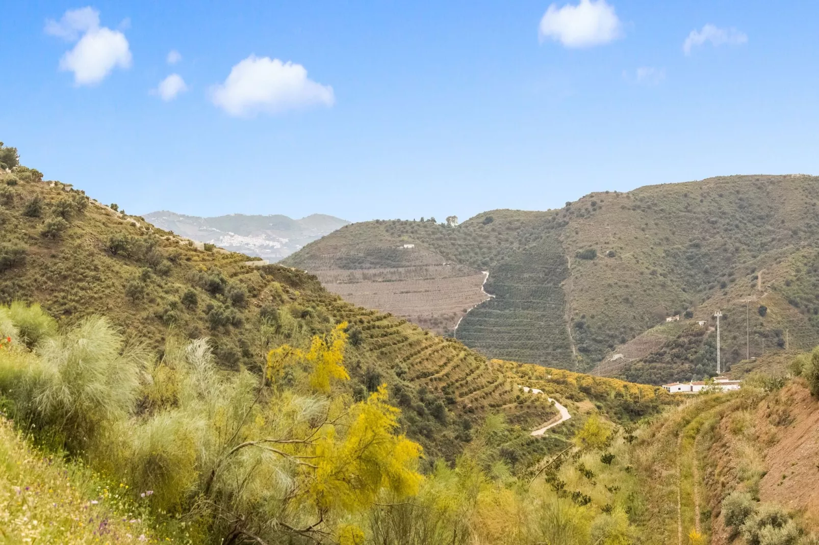 La Loma-Areas summer 20km
