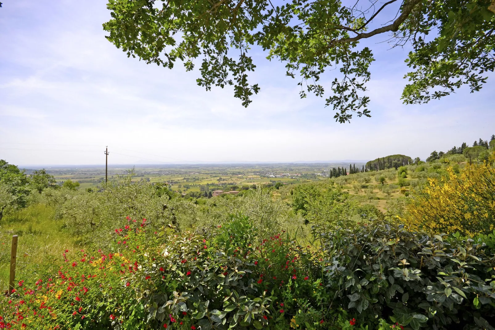 Villa Palazzone-Areas summer 1km