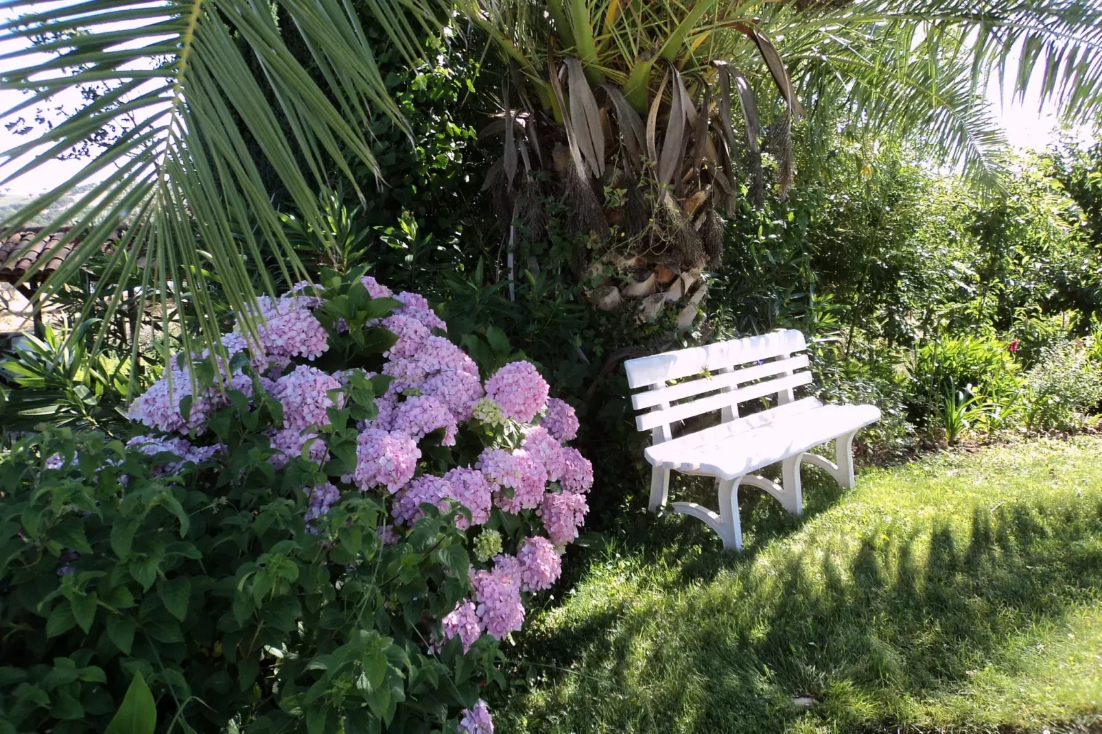 Casa do Forno-Jardin d'été