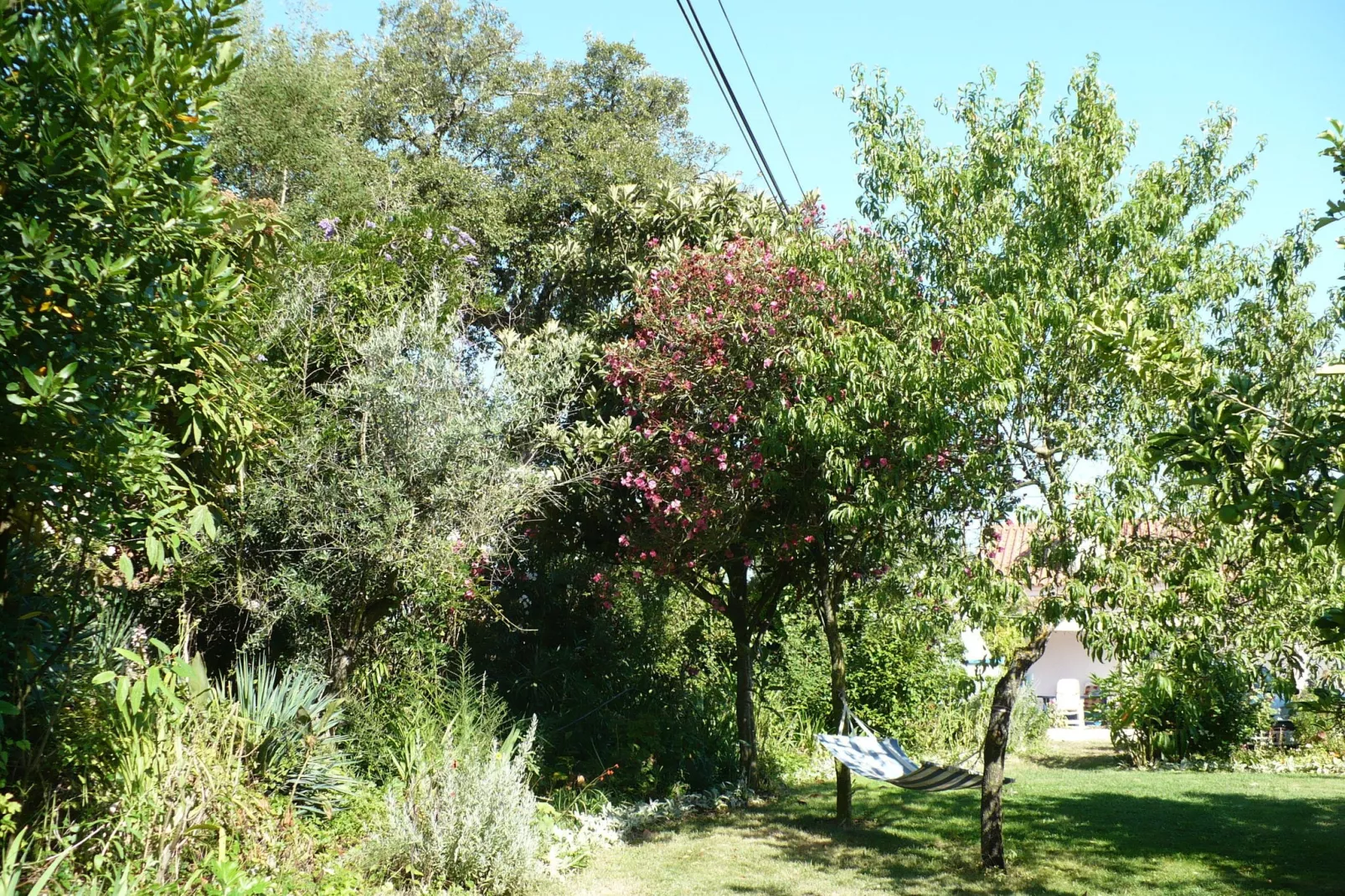 Casa do Forno-Jardin d'été