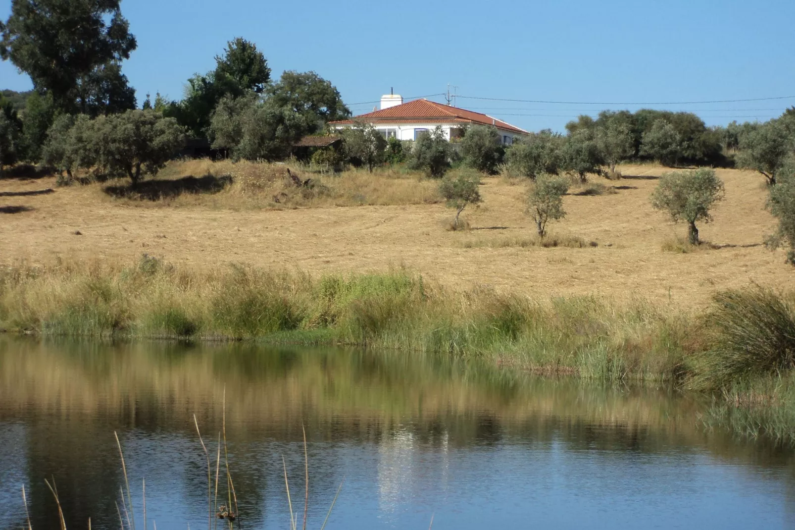 Casa do Forno-Zones d'été à 1 km