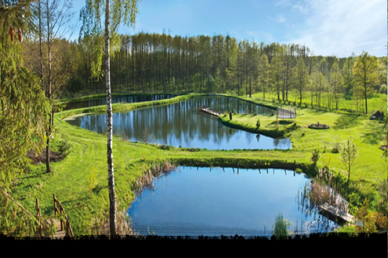 House Gajewo in Podlasie-View summer
