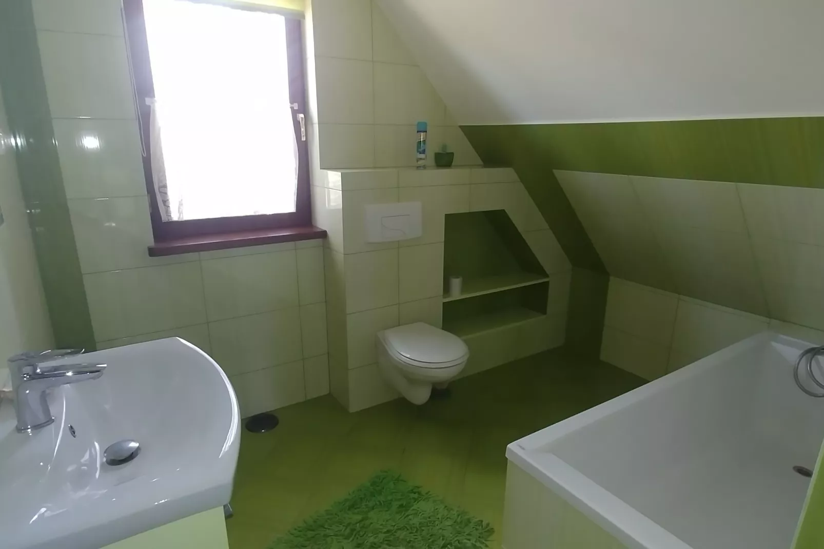 House Gajewo in Podlasie-Bathroom