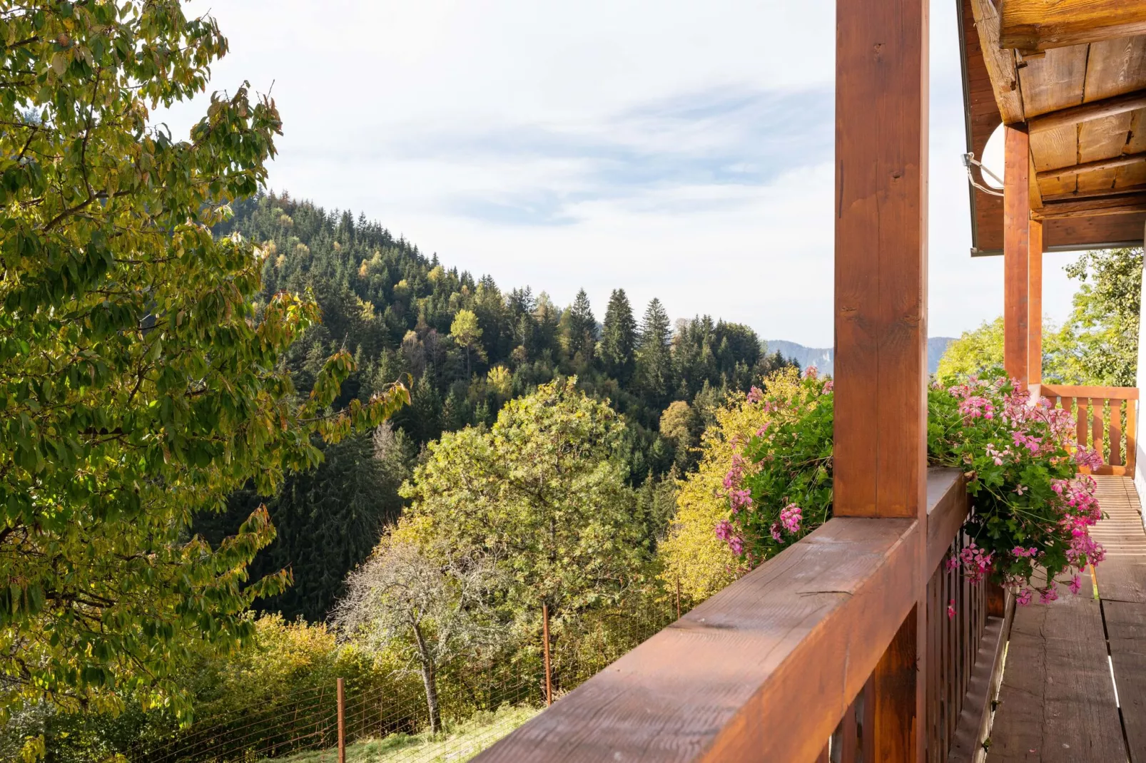 Zois Hütte-Terrace balcony