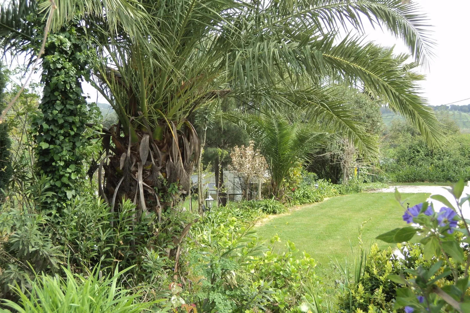 Casa das Flores-Gardens summer