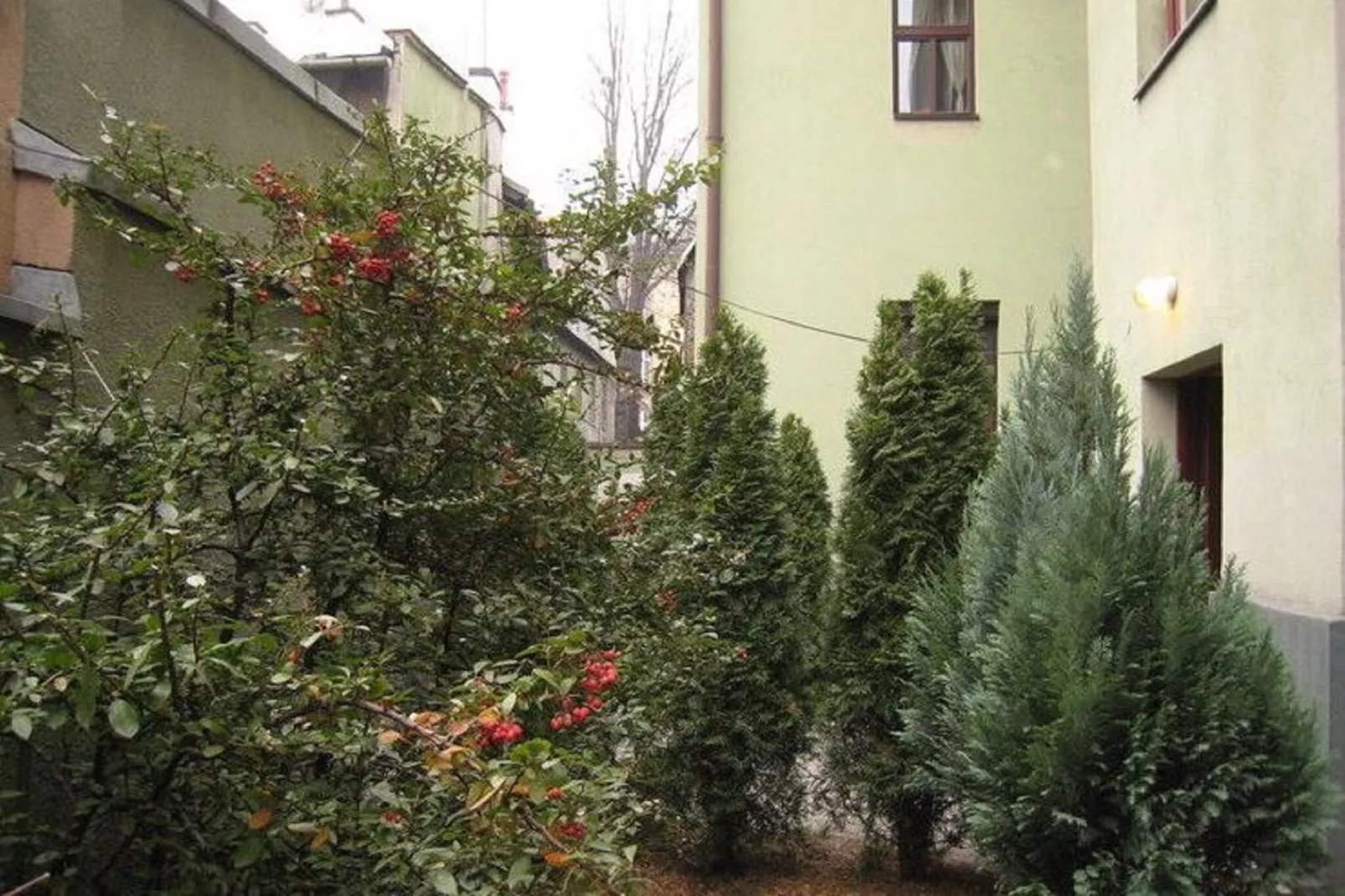 Lovely Krakow-Gardens summer