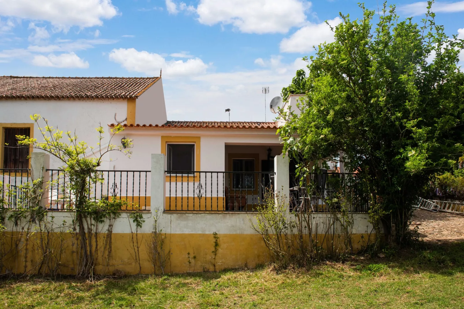 Casa do Olival-Exterior summer