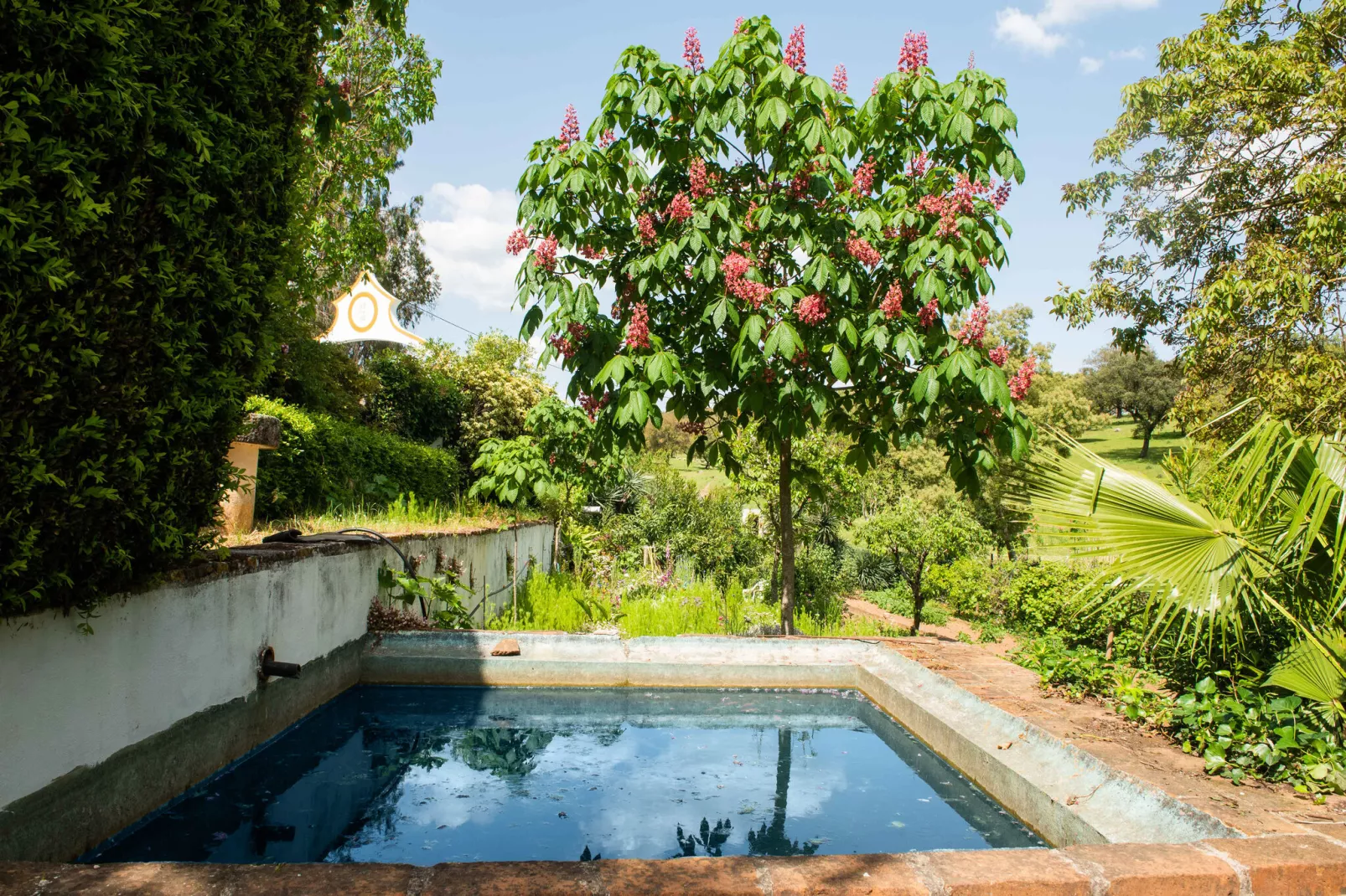 Casa do Olival-Pool