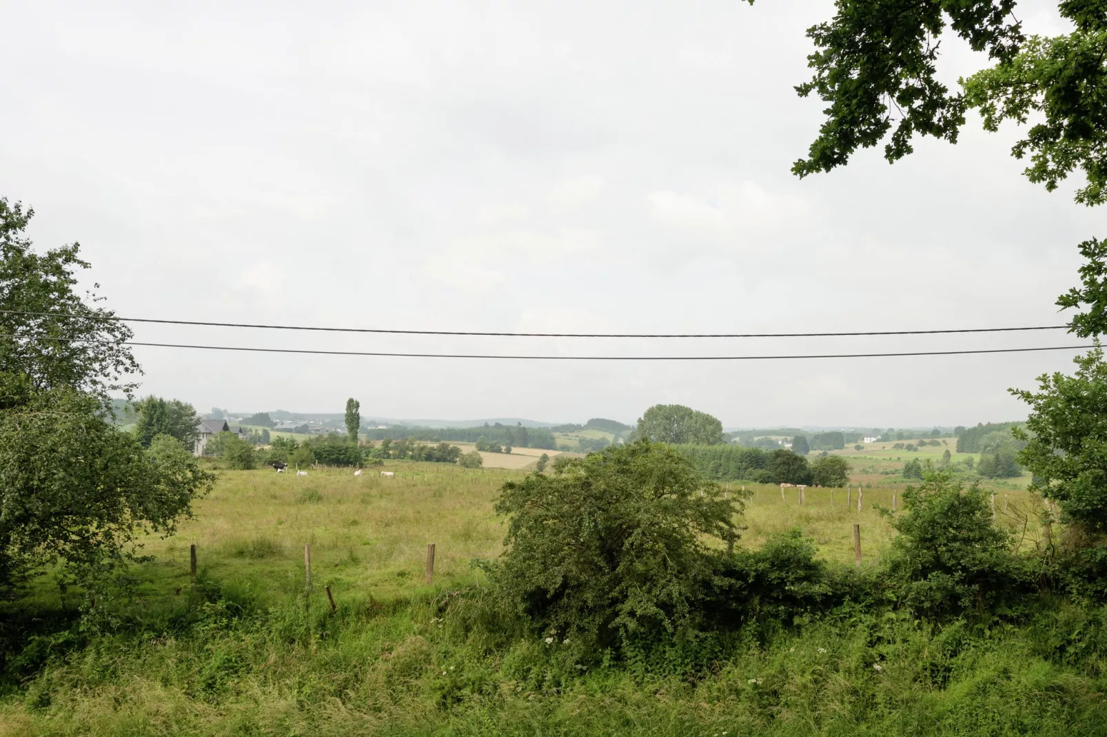 Ecole-Areas summer 1km