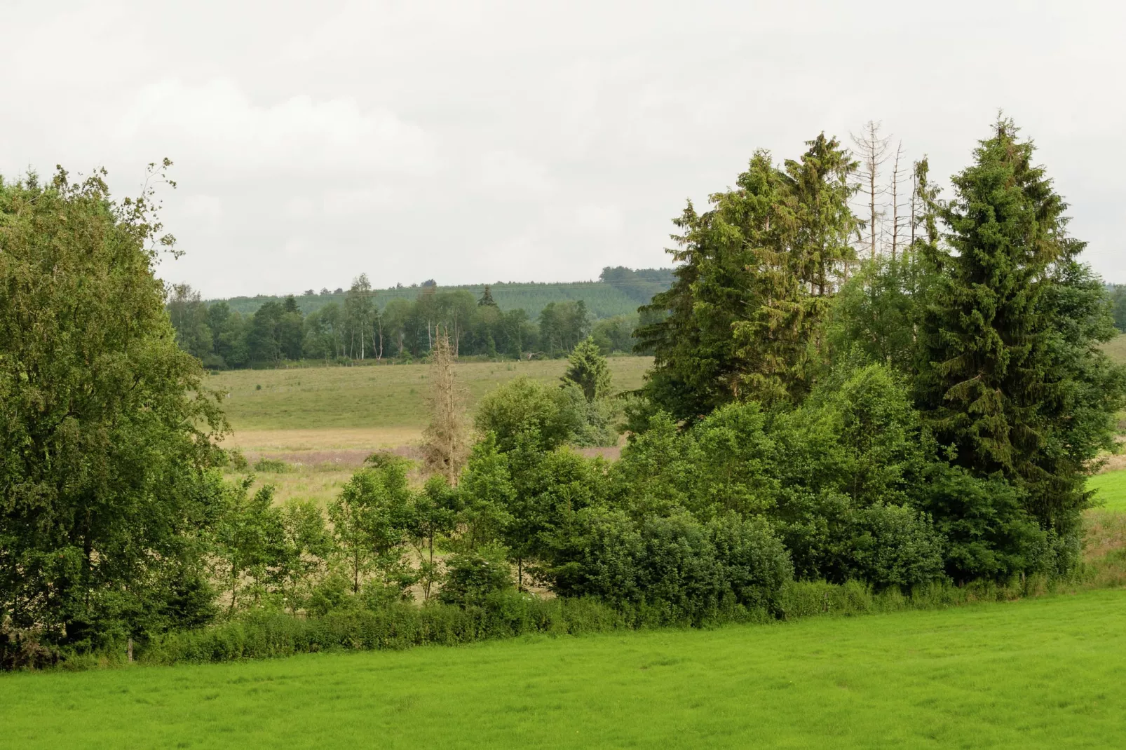 Ecole-Areas summer 5km