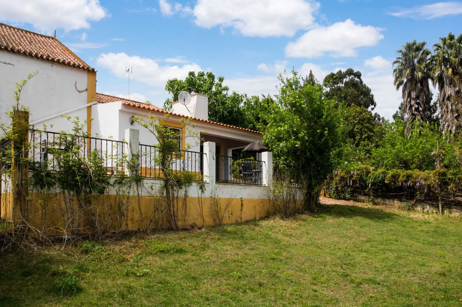 Casa do Olival-Gardens summer