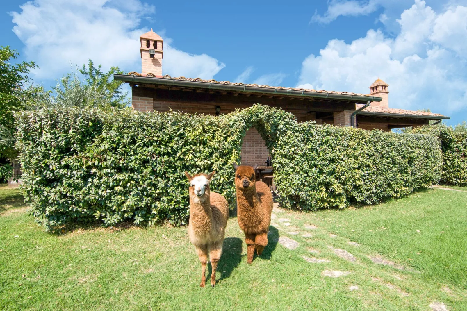 Italia-Gardens summer