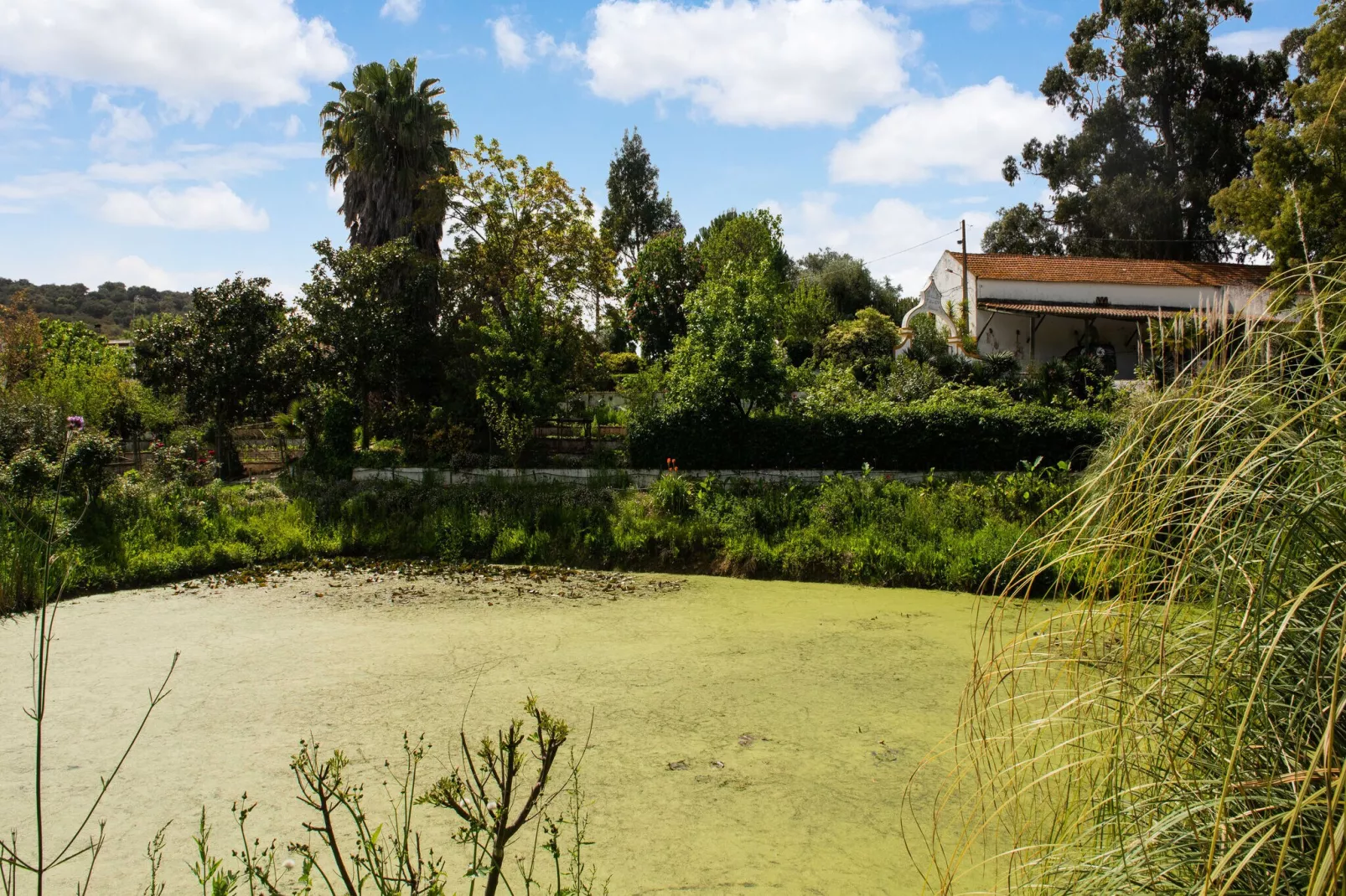 Casa do Olival-Areas summer 5km