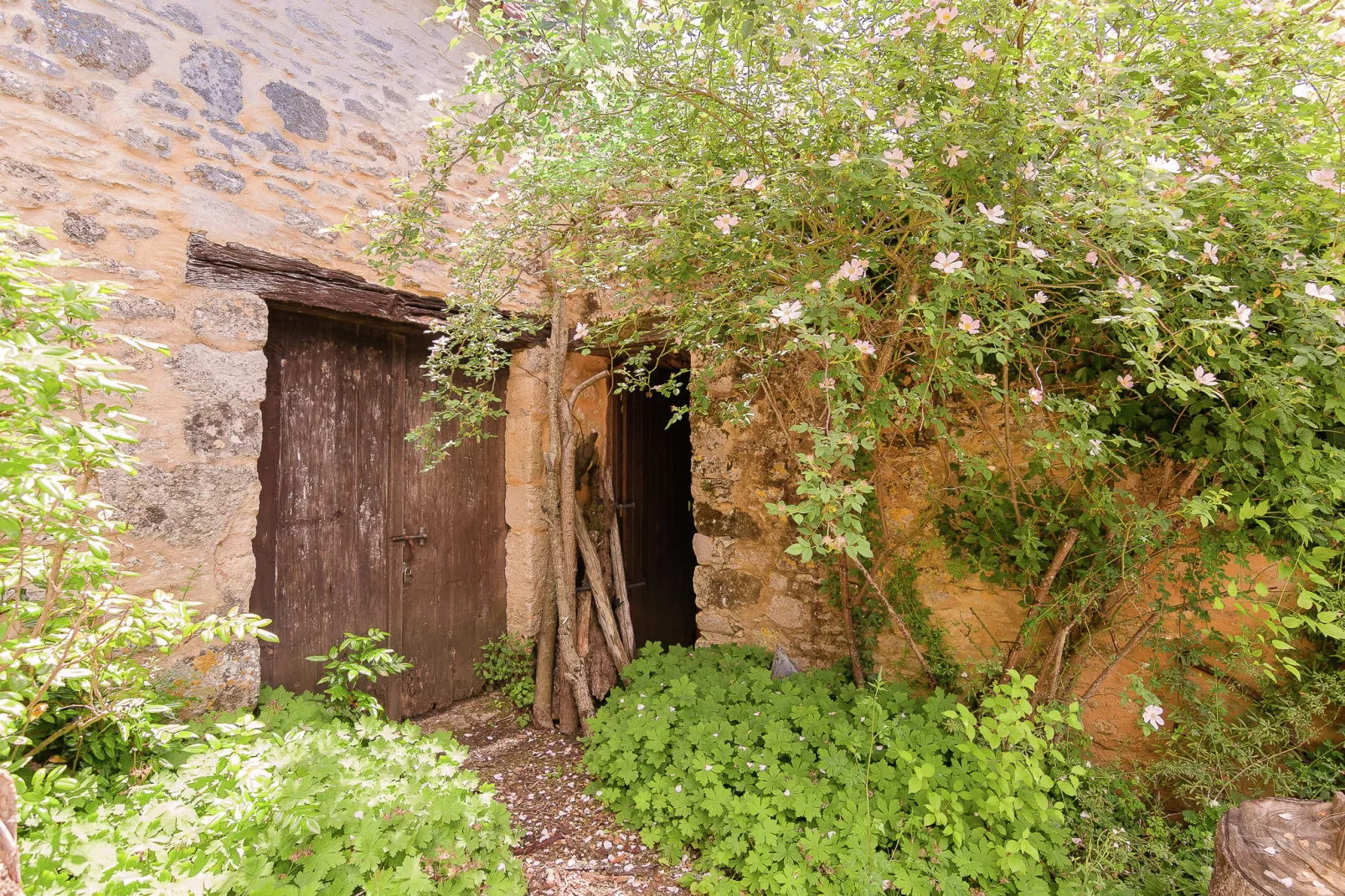 Domaine de la Borderie-Gardens summer