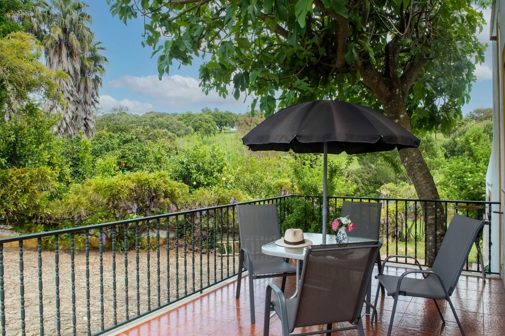 Casa da Figeira-Balcon-terrasse