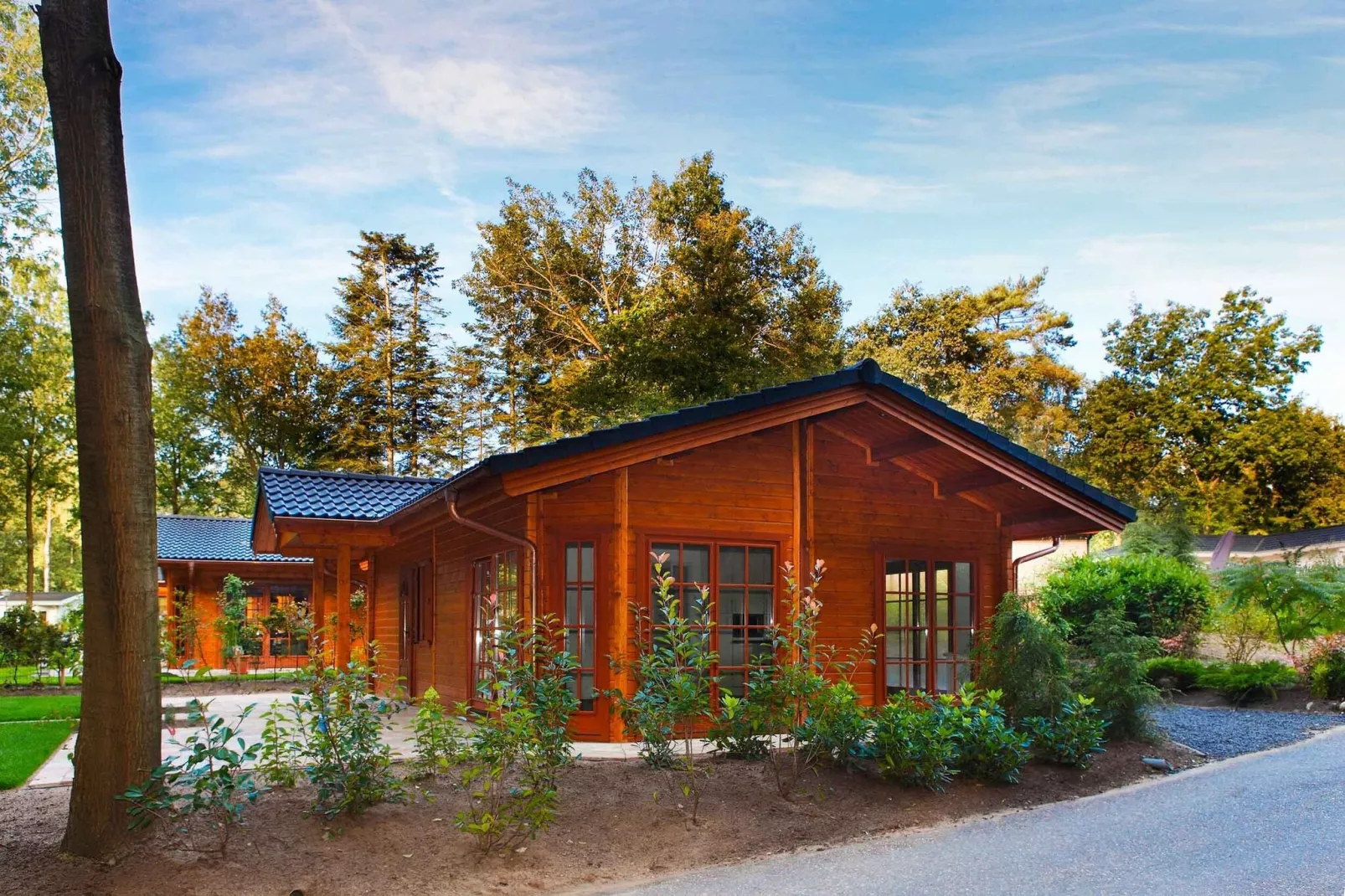 Landgoed De Scheleberg 8-Exterior summer