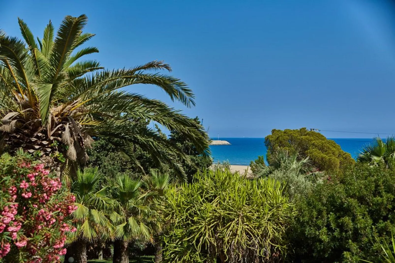 Villa Opale-View summer