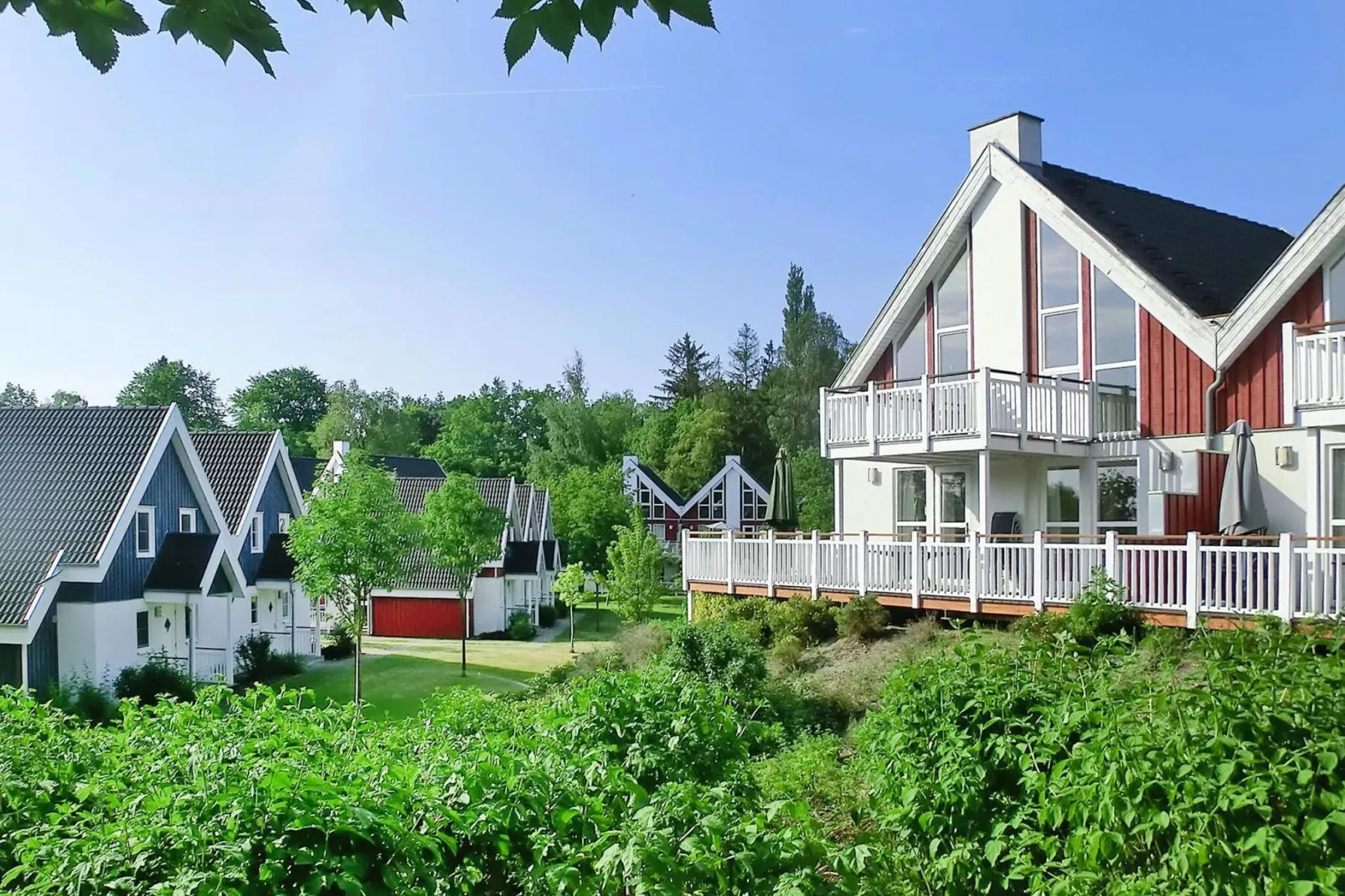 Ferienhaus Falster im Schlosspark-Aussicht Sommer