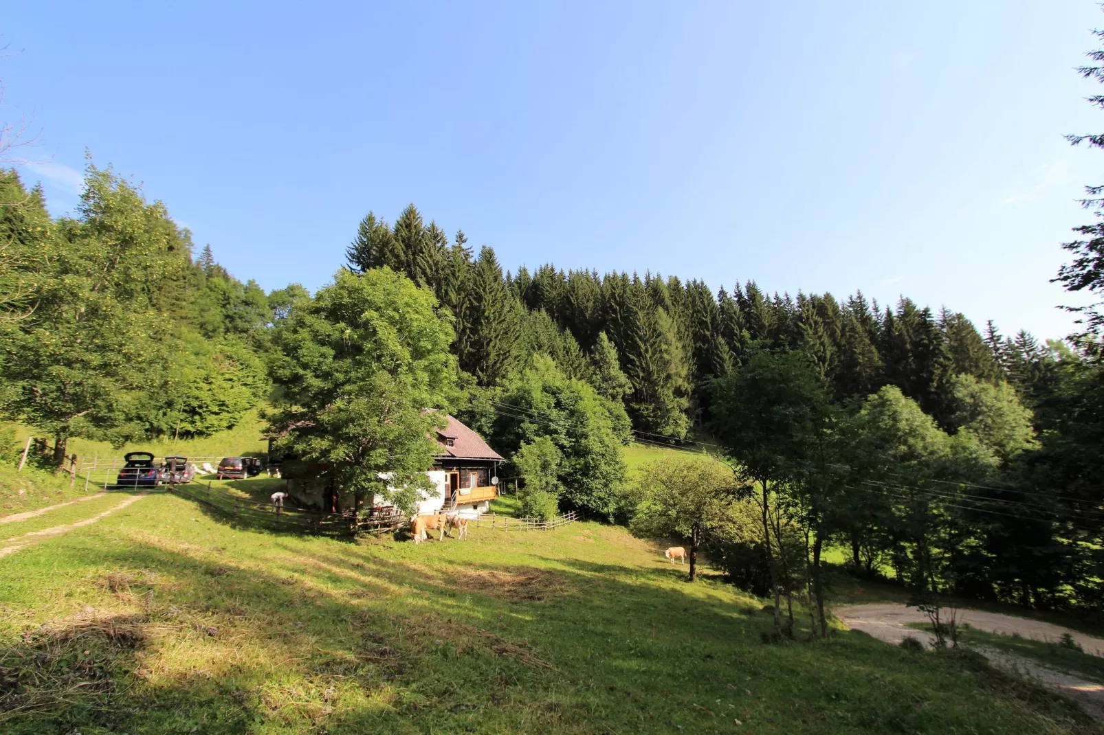 Brentlhütte-Areas summer 1km