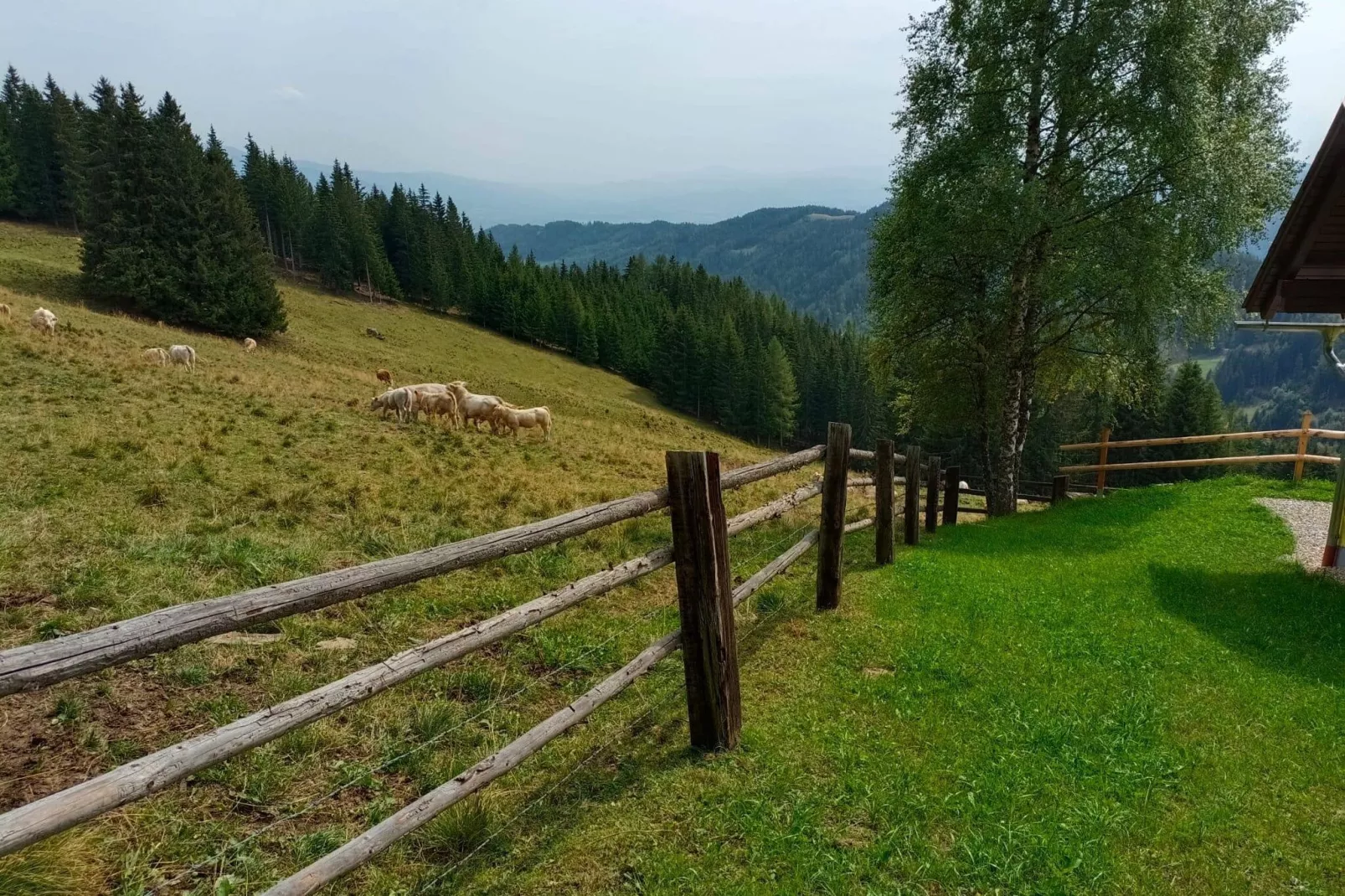 Graslerhütte-Exterior summer