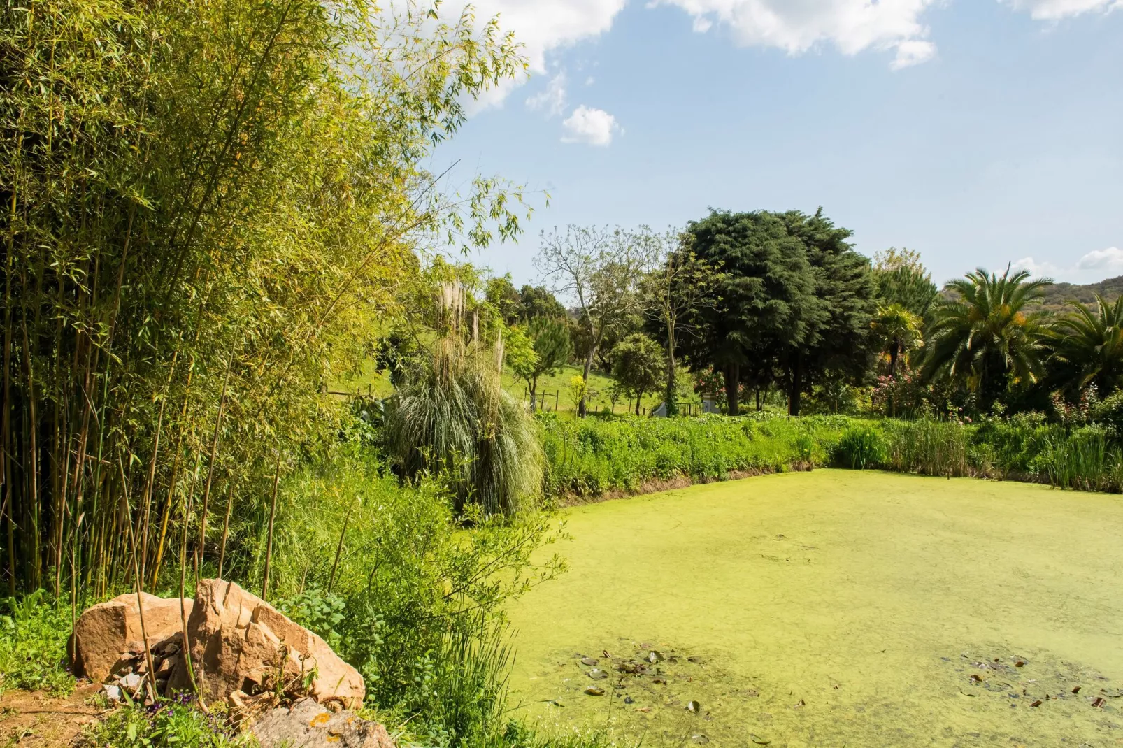 Casa da Forge-Gardens summer