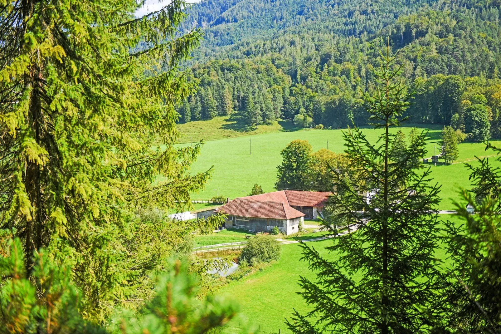 Chalet Astrid-Areas summer 5km