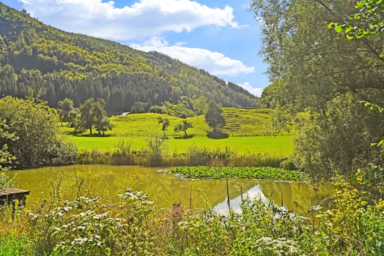 Chalet Astrid-Areas summer 5km
