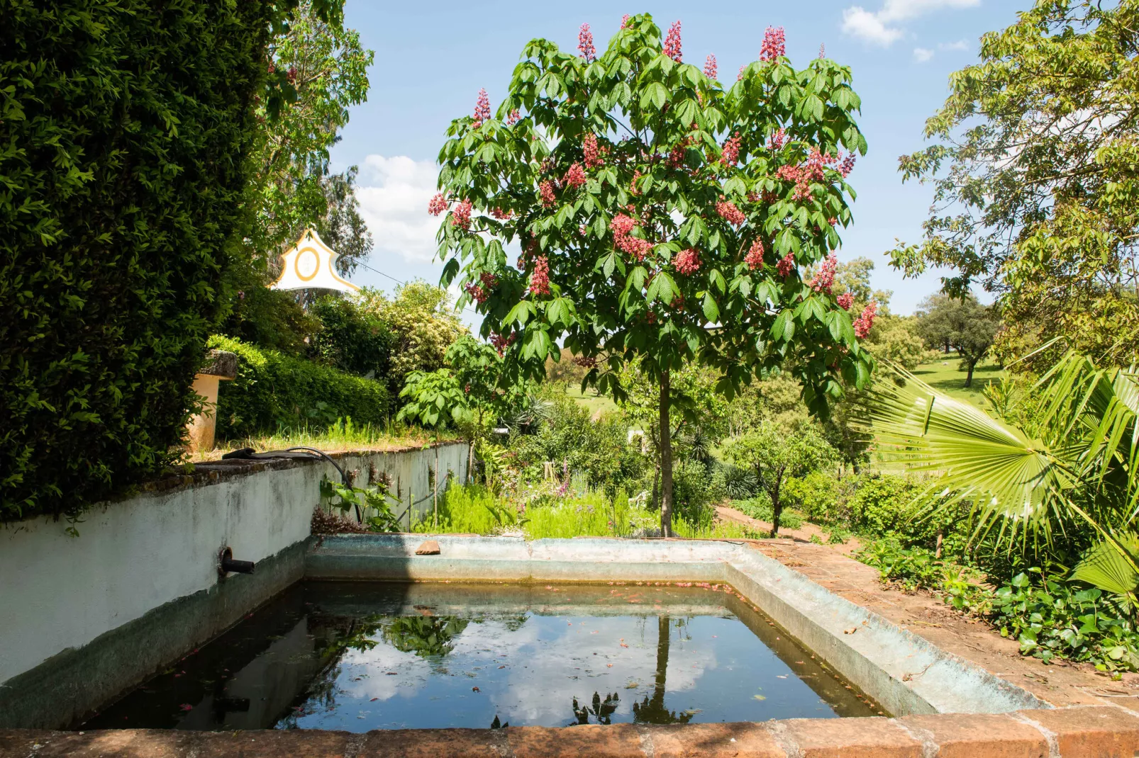 Casa do Forno de Pão-Pool
