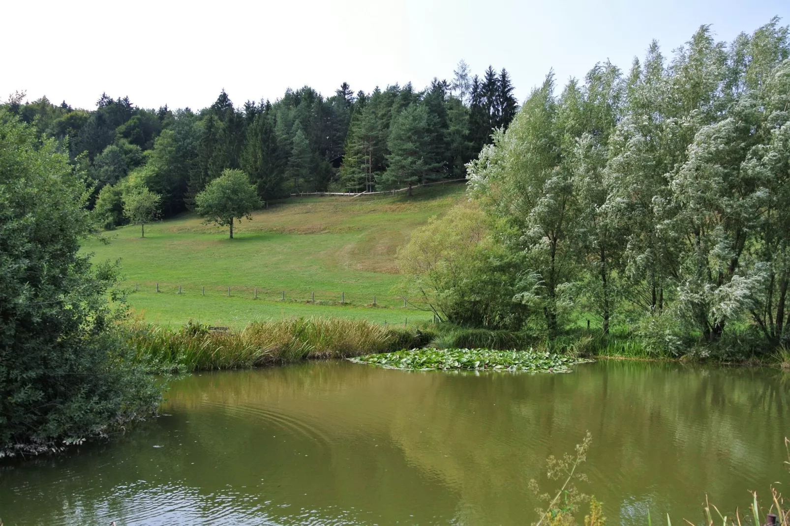Chalet Astrid-Areas summer 1km