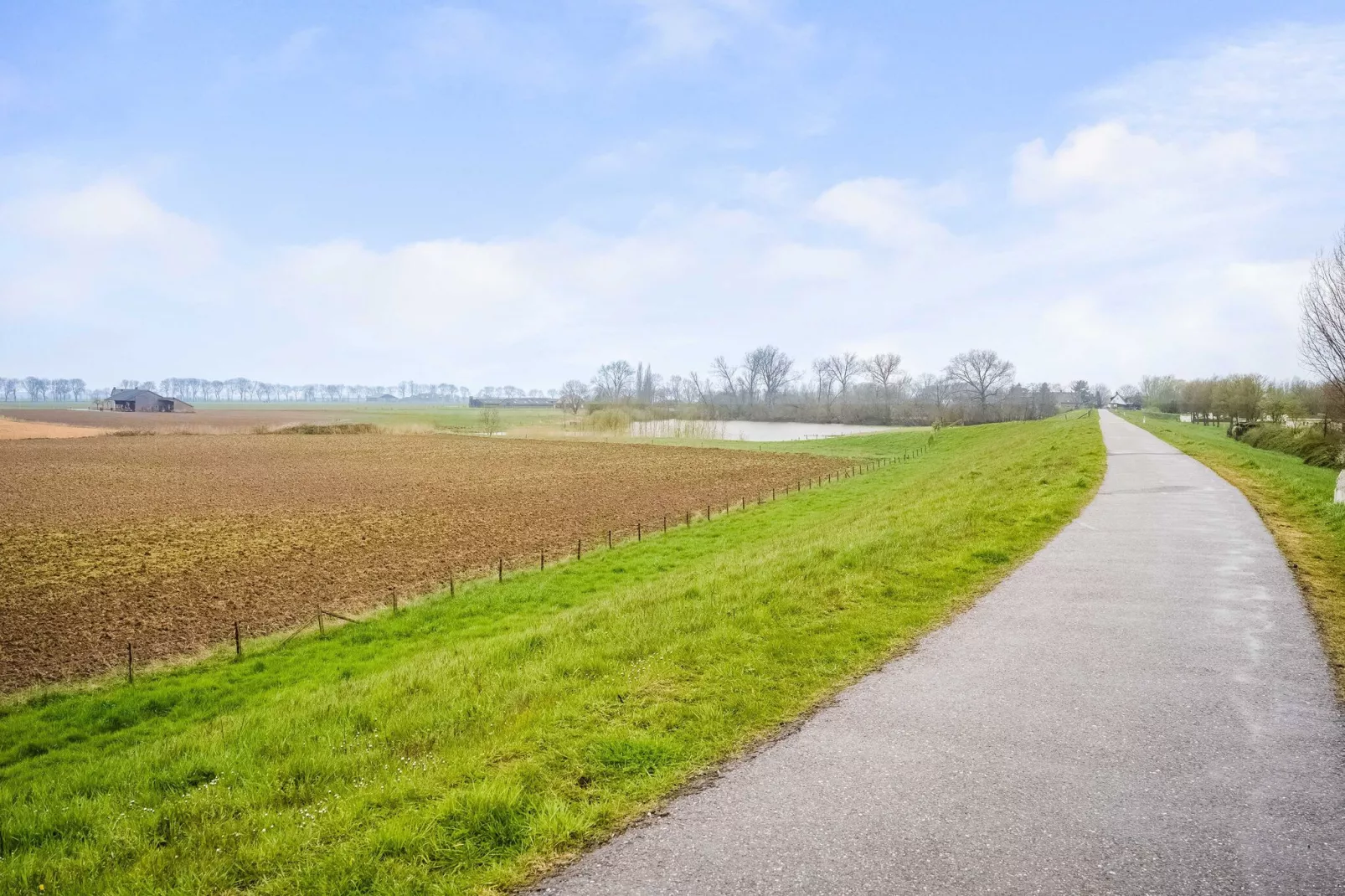 LithseHam-98-Areas summer 5km