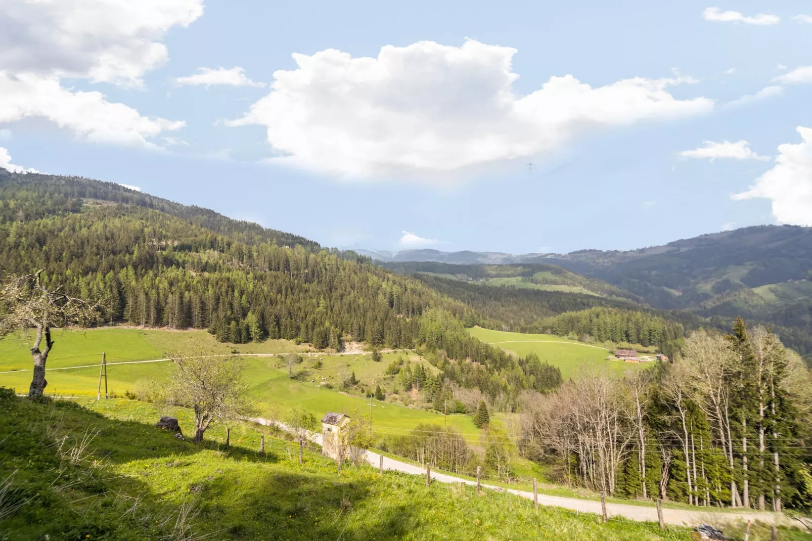 Ferienhaus Bauer-Areas summer 1km