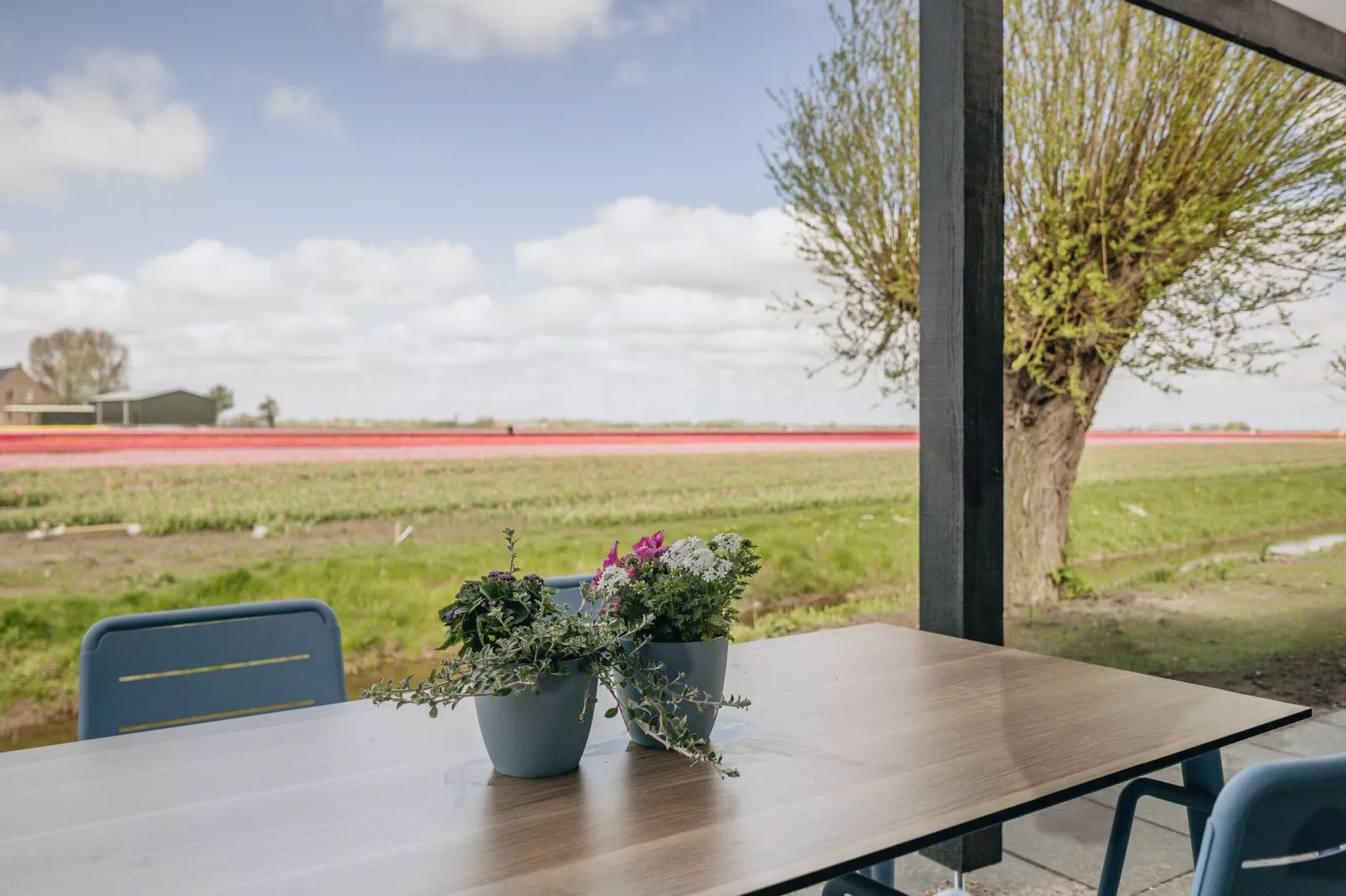 Park Wijdenes 4-Terrace balcony