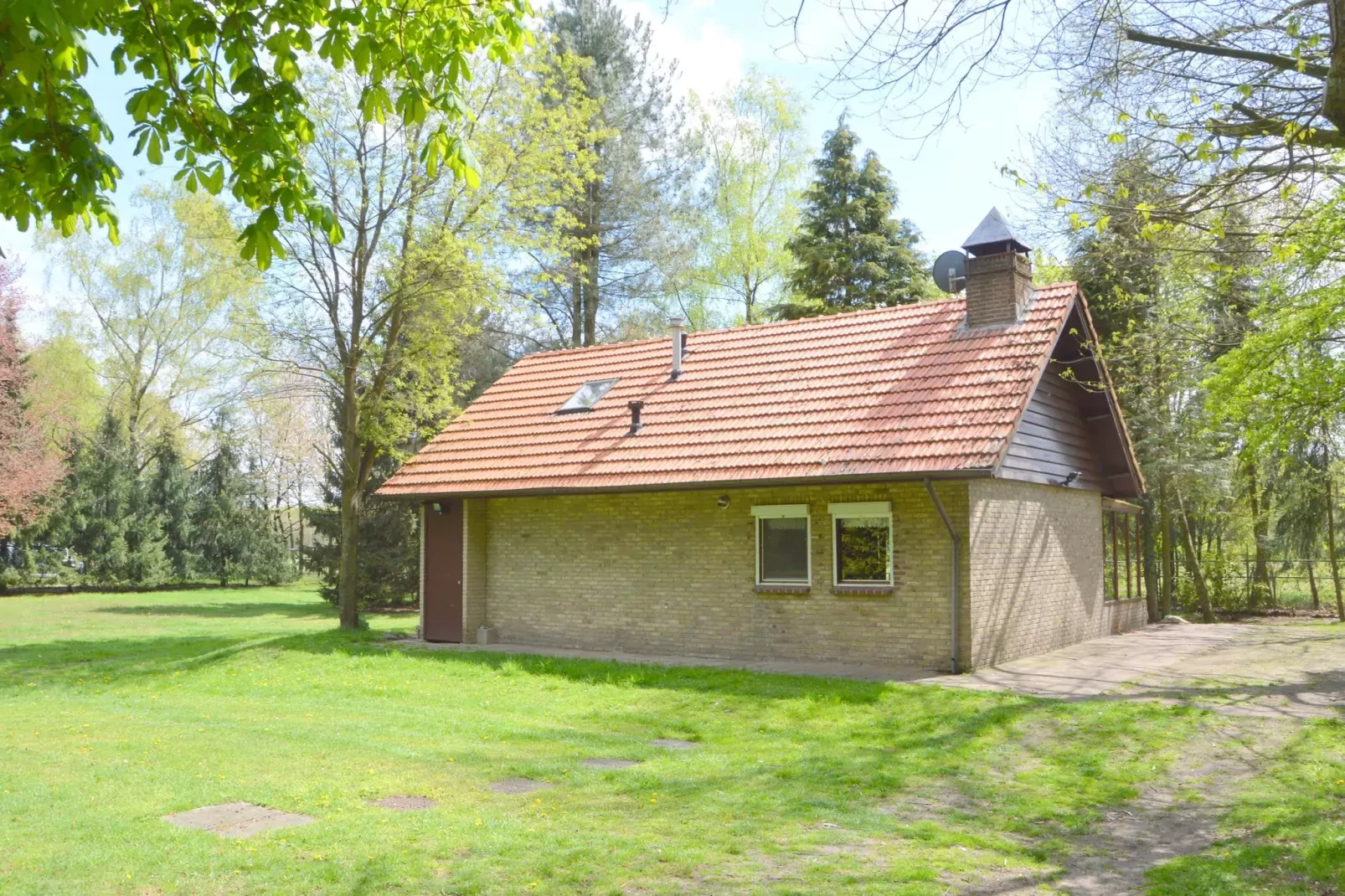 Vogelnestje-Außenbereich Sommer