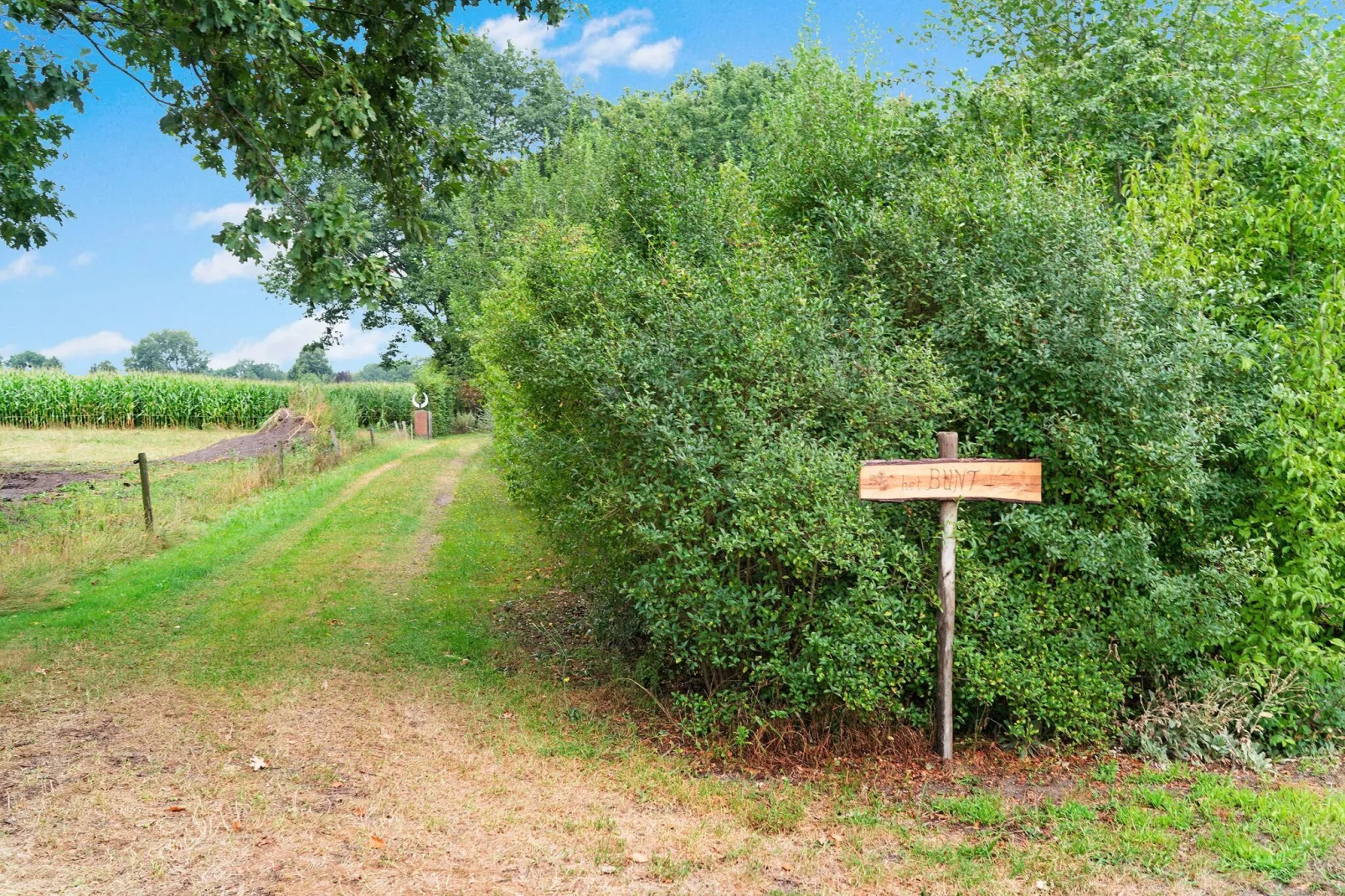 't Bunt-Gebiete Sommer 1 km