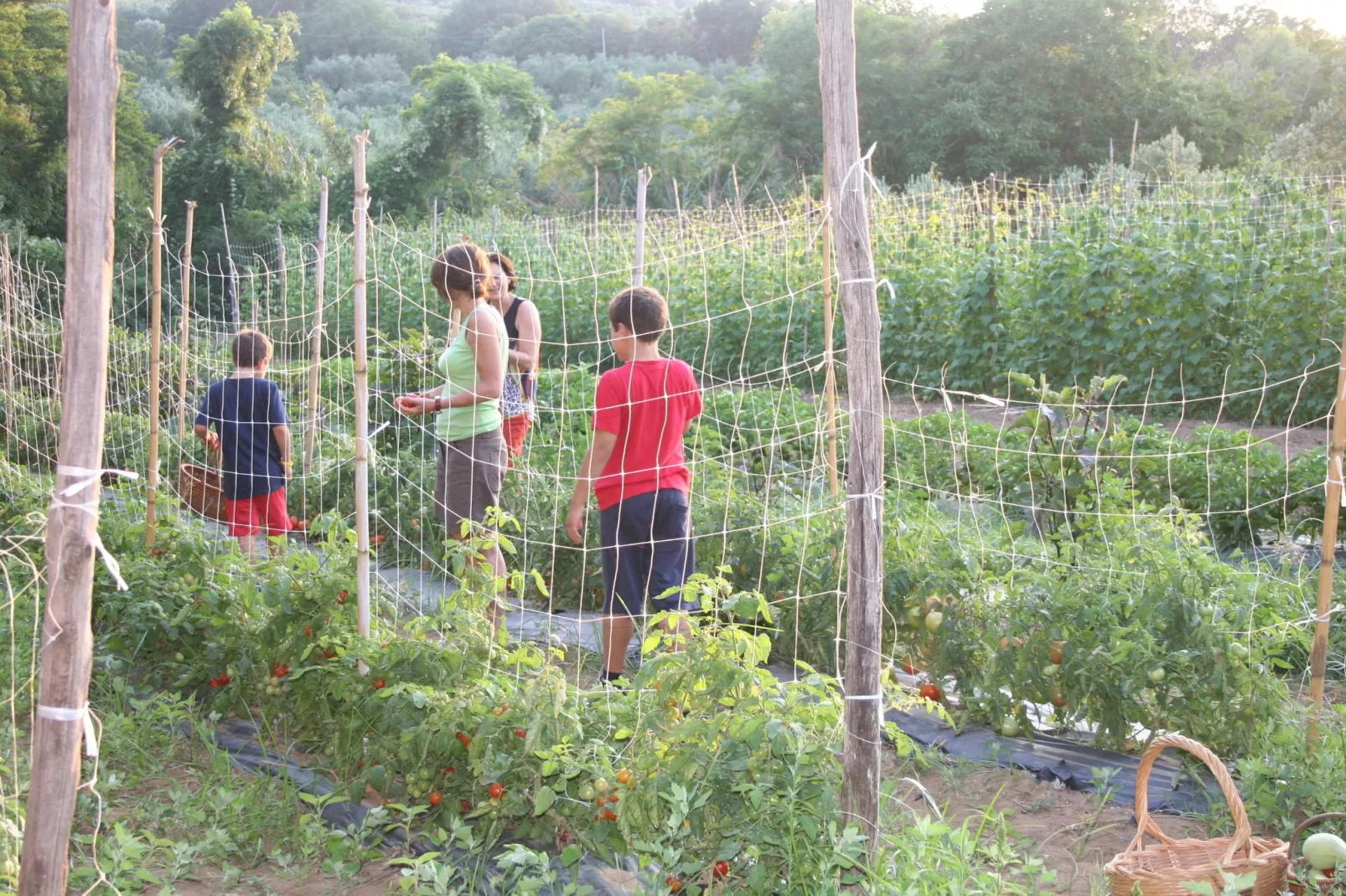 Casa Giacinto-Areas summer 1km