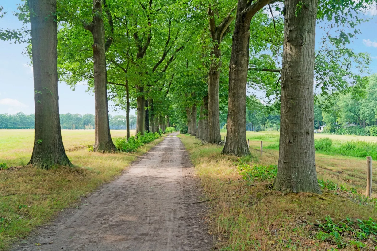 't Bunt-Gebiete Sommer 1 km