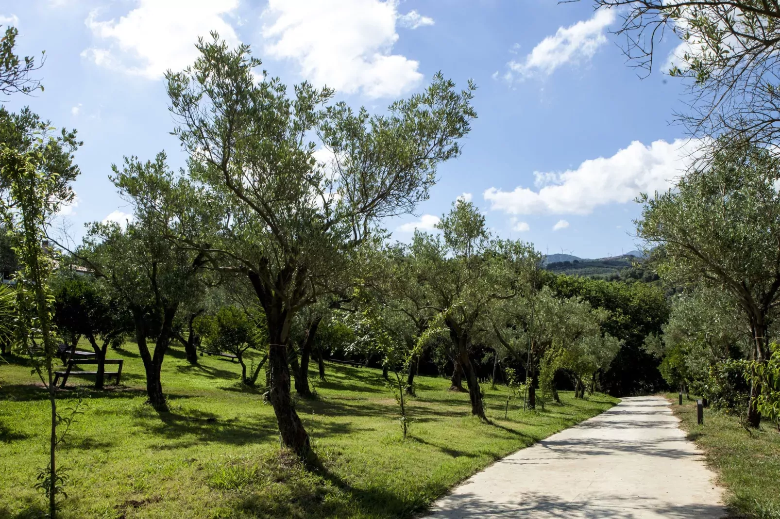 Casa Giacinto-Areas summer 1km