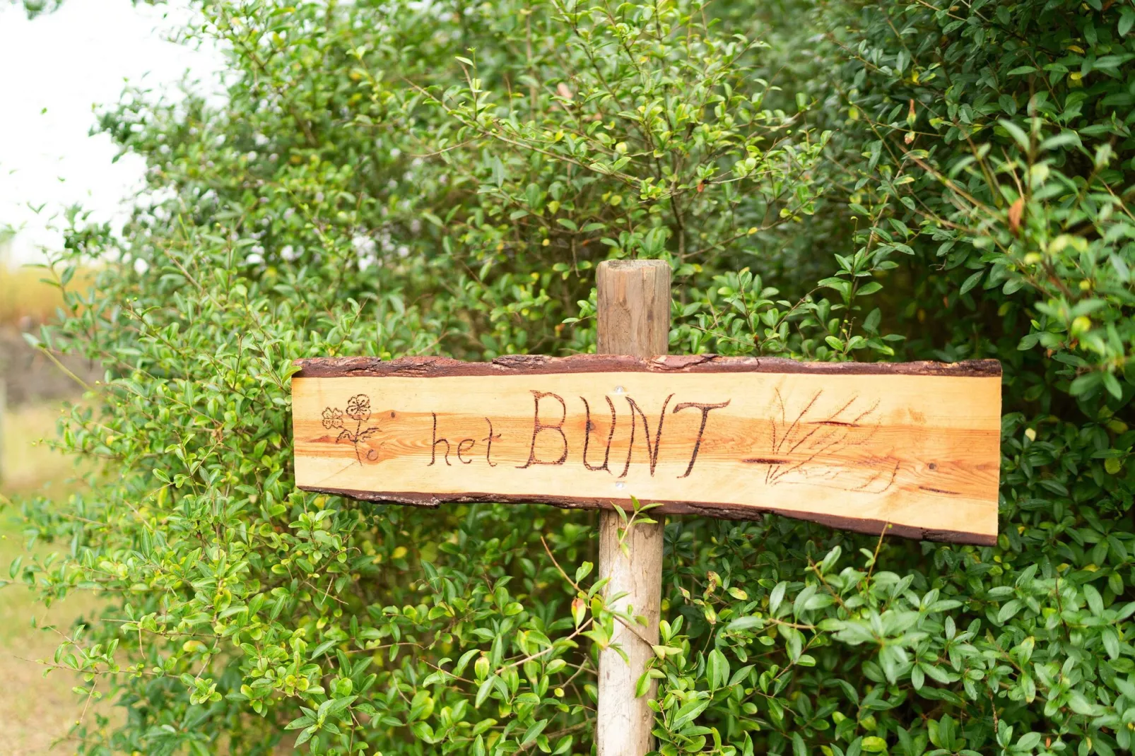 't Bunt-Ambiente