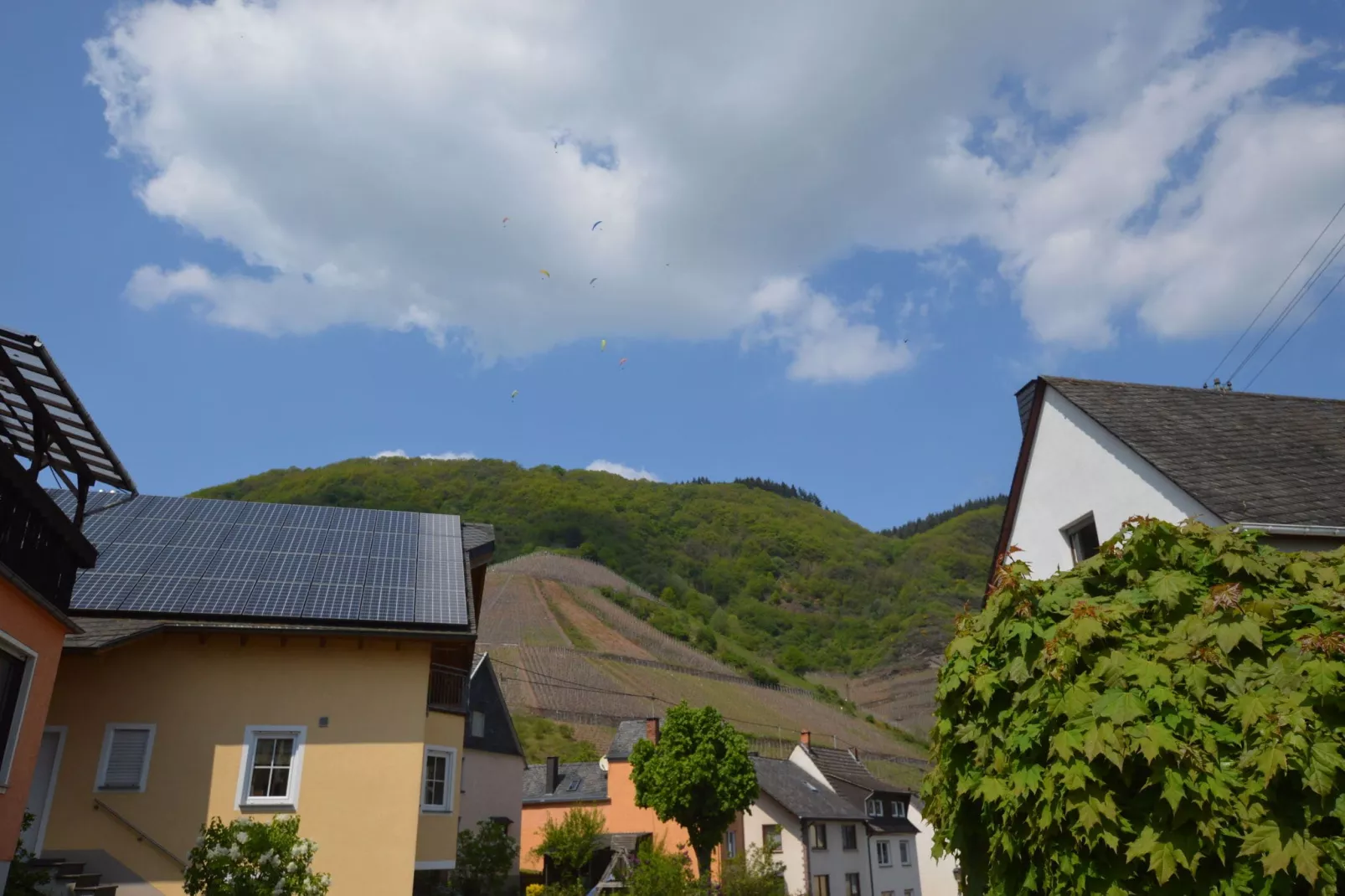 Gruppenhaus Moselblick-Gebiete Sommer 1 km