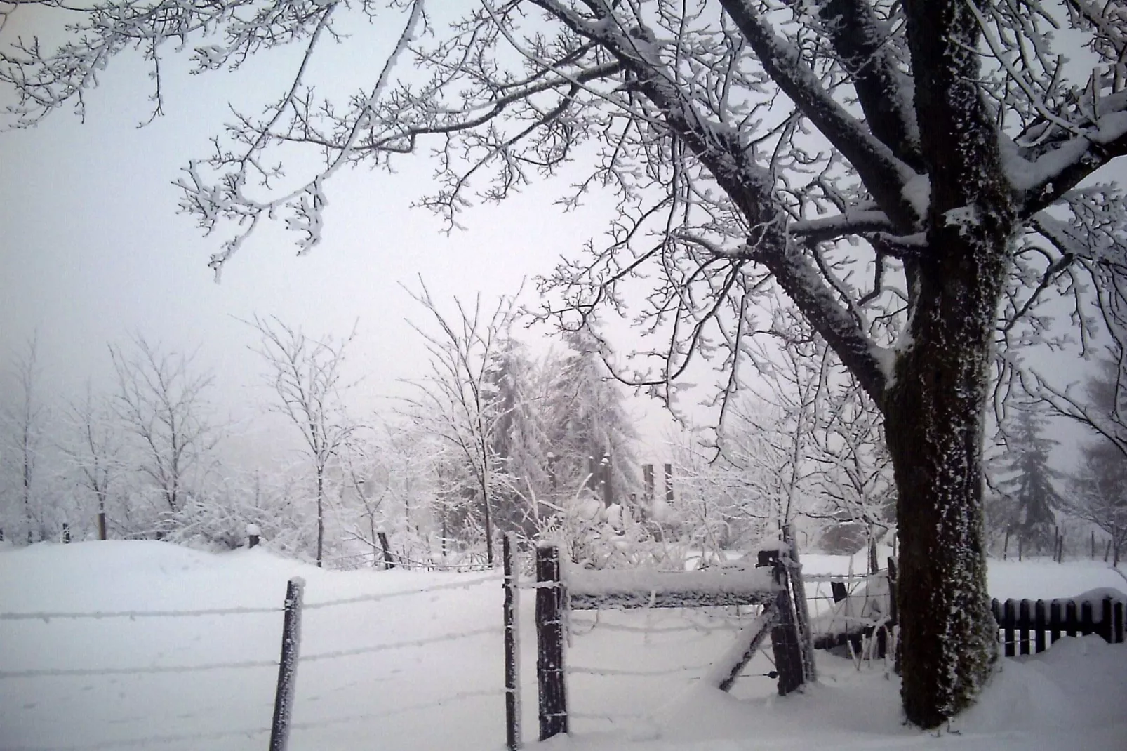 Hardebusch-Area winter 5km