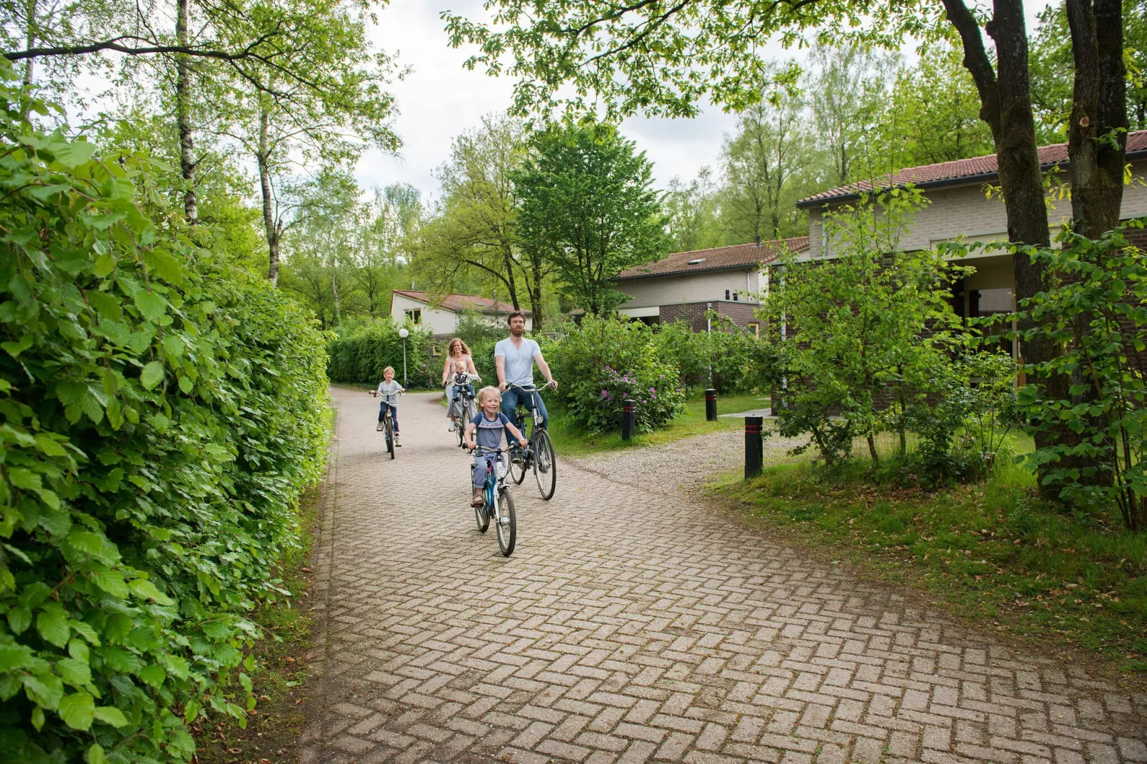 Bungalowpark Hoenderloo 6-Park facilities