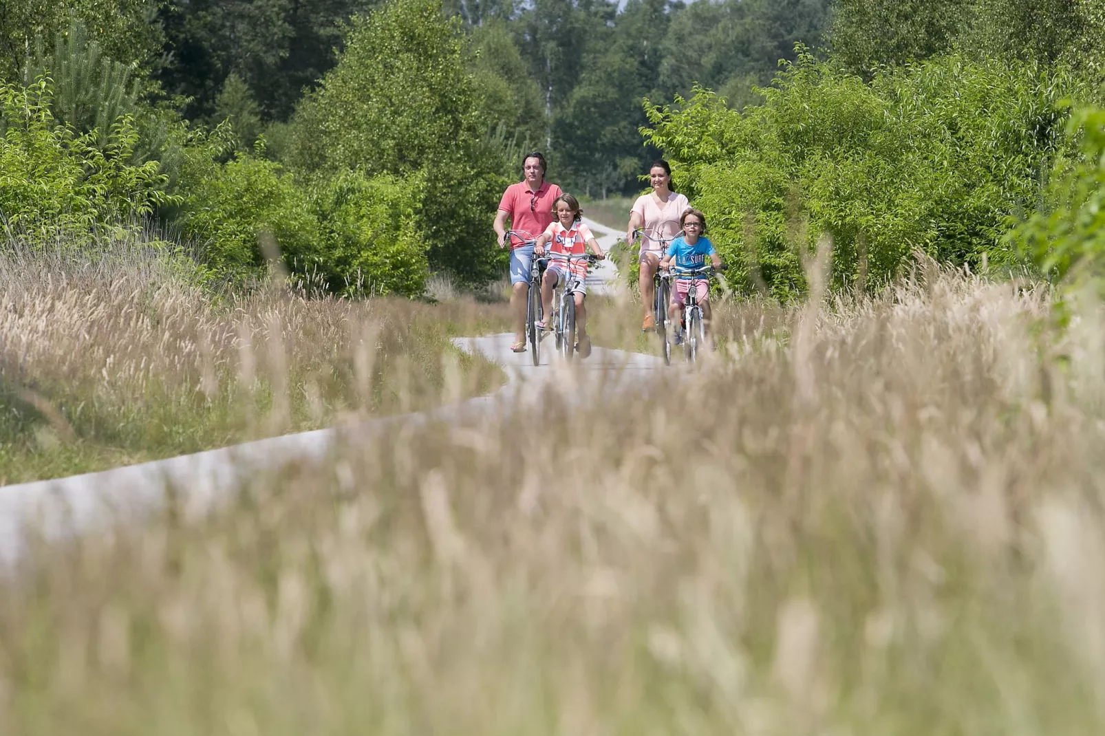 Bungalowpark Hoenderloo 6-Areas summer 5km