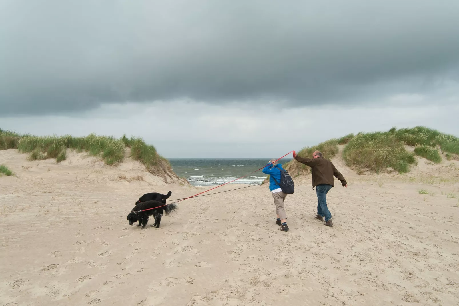 Sea Lodges Ameland 1-Atmosphere