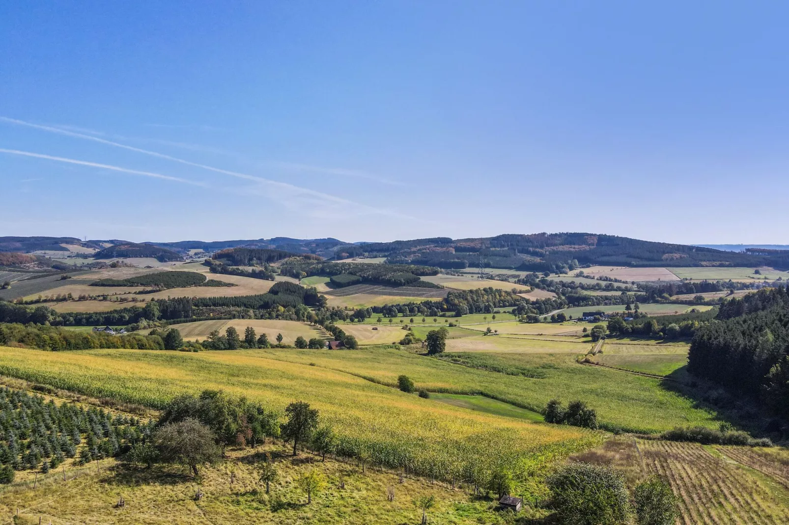 Hardebusch-Areas summer 1km