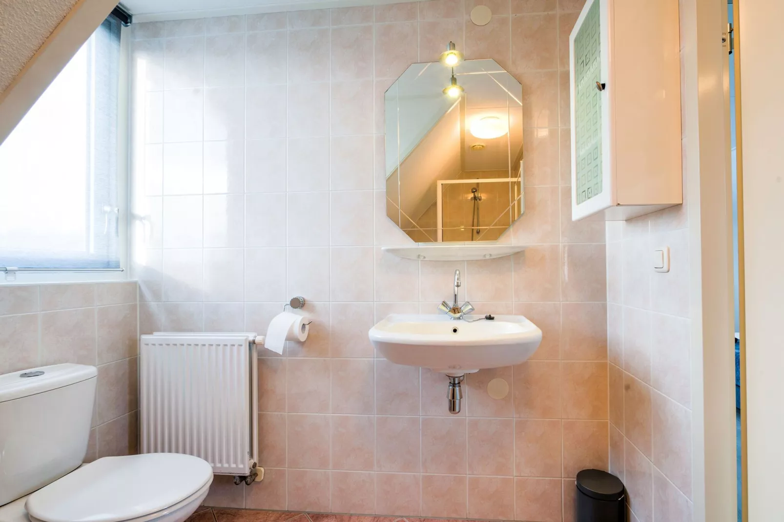 Zonnig Hosterwold-Bathroom
